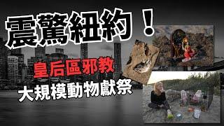 震驚紐約！皇后區邪教大規模動物獻祭，巫毒儀式引發居民恐慌 | AI News 愛報導