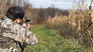 Deer Hunting a CORNFIELD! (West Virginia Rifle Season)