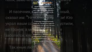 Психология мотивации,  цитаты, саморазвитие, философия