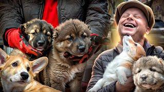 Собачий рынок Одесса. Разные породы собак. Продажа собак и кошек. Липован Барахолка