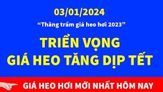 Giá heo hơi mới nhất hôm nay 3/1 | Triển vọng giá lợn tăng dịp Tết | Tin Nóng Mỗi Giờ