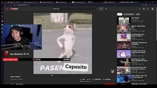 pasen cepesito