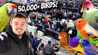 MASSIVE Bird Market in the UK - Newark 2024