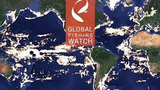 Introducing Global Fishing Watch