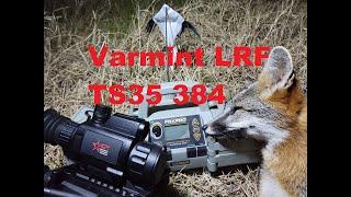 AGM Varmint LRF TS35 384 Review