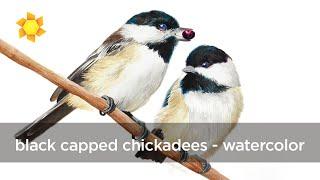 Black Capped Chickadees Watercolor