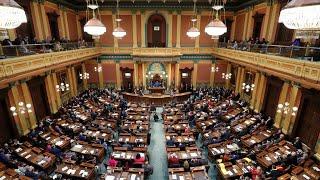 Michigan Senate passes gun safety bill package