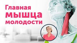 Главная мышца МОЛОДОСТИ: как избежать морщин и отёков + приём