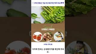 야채왕 적채1통 가성비 꿀맛 #shorts 내돈내산