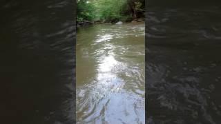 river flow after rain