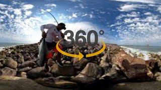 PESCADOR PESCANDO GRAN PEZ  / Pesca superficial video  360