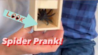  Spider Prank! - Family Prank on Big Brother! #shorts #prank #prankwars #familyprank