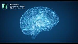 About NeurotechEU - The European University of Brain and Technology