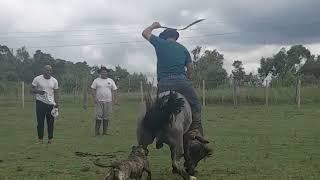 Gineteada- Provada em Caçapava do Sul