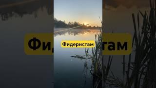 Как прекрасен этот мир️ #мир #рыбалканафидер #рыбалка #фидер #карась #карп