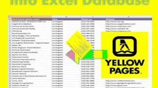 Extract Business Data Yellowpages to Excel