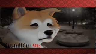 Hachiko - Last Goodbye~