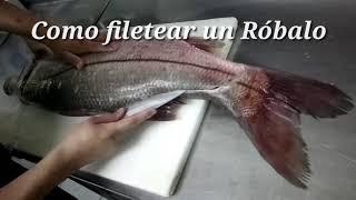 Aprende a Filetear Pescado - Róbalo