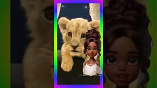 learn with Zara| cute animals Facts| learn if lions live in the jungle-toddlers and baby videos