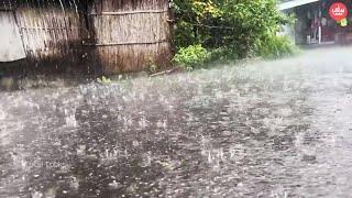 Walking in the Heavy Rain through Villages with Soothing Rain Sounds