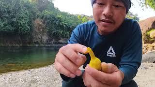 How to fish with Aata(wheat) with Haldee(turmeric) @adventurewithkanrojida