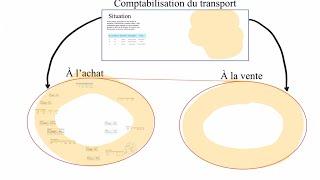 C29 : Comment comptabiliser le transport ? Toutes les possibilités !