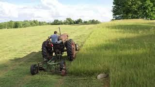 WOW!! Mowing 10 Acres Of Hay With A 1951 Oliver 77  Tractor And A Oliver 421 7' Sickle Bar Hay Mower