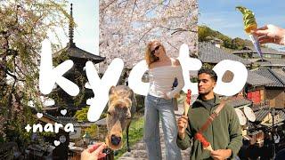 KYOTO VLOG  Philosopher's Path, Bamboo Forest & Daytrip To Nara!!