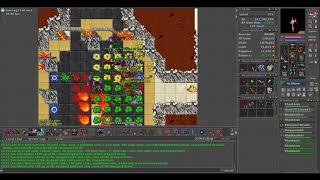 Tibia Paladin POI DT Seal RP 250+ (DOUBLE LOOT) Short hunt