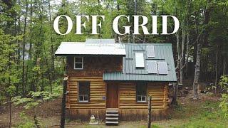 Musician Builds an Off Grid Log Cabin in the Woods