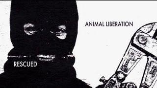 RESCUED: Animal Liberation (featuring Jonathan Paul)