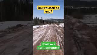 Новое казино. Zooma