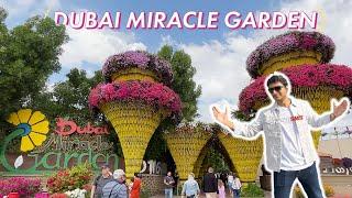 World's Largest Natural Flower Garden 2023: Dubai Miracle Garden | Facts & Opening Date