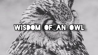 30 Powerful Quotes of Wisdom | Wisdom of an Owl