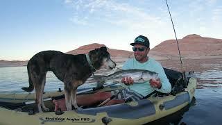 AE1055 Advanced Elements StraitEdge Angler PRO Testimonial