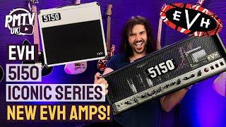 EVH 5150 ICONIC Amps! - That ICONIC EVH Tone Without Busting The Bank! - Dagan's New Favourite Amp!