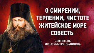 06 О Смирении, терпении, чистоте, Житейское море, Совесть — Аскетические опыты — Игнатий Брянчанинов