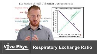 Respiratory Exchange Ratio (RER) Explained