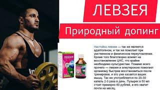 #Левзея лучший АДОПТОГЕН#левзея для мужчин #левзея и мышечная масса#левзея в спорте#левзея в спорте