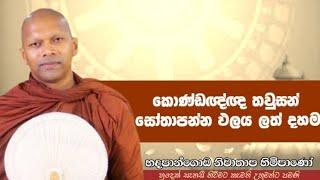 කොණ්ඩඥ්ඥ තවුසන් සෝතාපන්න ඵලය ලත් දහම #Hadapangoda Niwathapa thero#pahura#dharmayai #bana #buddha