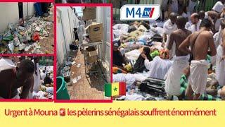  Urgent à Mouna les pèlerins sénégalais souffrent énormément 