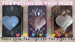 How is your person really feeling about you right now?️‍🩹Timeless pick a card love reading