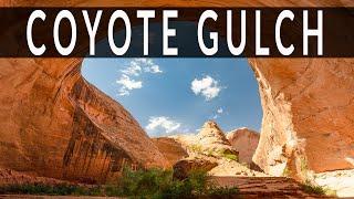 Hiking Coyote Gulch, Grand Staircase Escalante, Utah