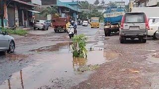 GREEN INITIATIVE OR DESPERATION? LOCALS PLANT TREES IN POTHOLE-FILLED MDR ROAD TO HIGHLIGHT NEGLECT