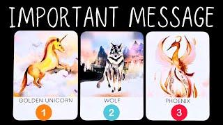 The Absolute Most IMPORTANT MESSAGE For You Now?⭐️PICK A CARD 🃏Timeless Reading
