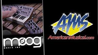 Moog Subsequent 37 CV Assignable CV and Gate outputs Demo - Moog Subsequent 37 CV Analog Synthesizer