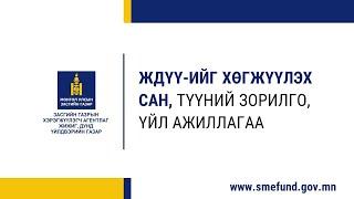 12-1. Жижиг, дунд үйлдвэр, үйлчилгээ эрхлэгч гэж хэн бэ?