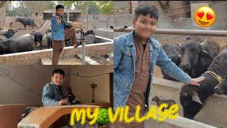 A Day At Village  | azAn vlogx