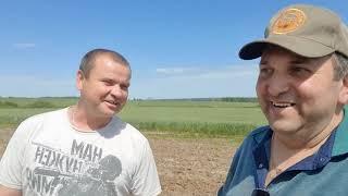 Поздний посев, проблемы No-till.