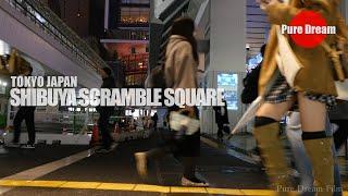 SHIBUYA SCRAMBLE SQARE NOVEMBER 20, 2024. T1942 30min LONG